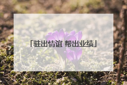 驻出情谊 帮出业绩