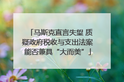 马斯克直言失望 质疑政府税收与支出法案能否兼具“大而美”