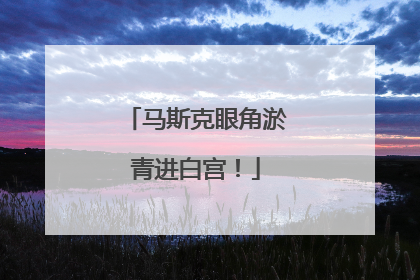马斯克眼角淤青进白宫！