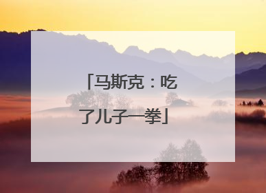 马斯克：吃了儿子一拳