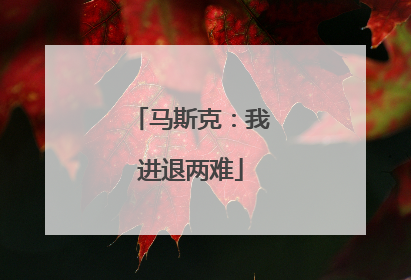 马斯克：我进退两难