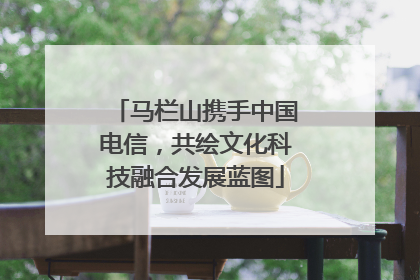 马栏山携手中国电信，共绘文化科技融合发展蓝图