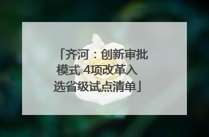 齐河：创新审批模式 4项改革入选省级试点清单