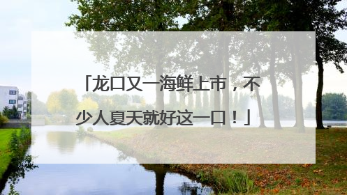 龙口又一海鲜上市，不少人夏天就好这一口！