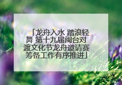 龙舟入水 踏浪轻舞 第十九届闽台对渡文化节龙舟邀请赛筹备工作有序推进