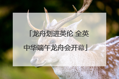 龙舟划进英伦 全英中华端午龙舟会开幕