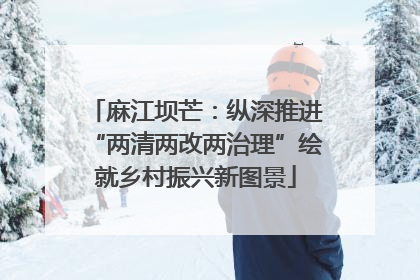 麻江坝芒：纵深推进“两清两改两治理”绘就乡村振兴新图景