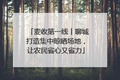 麦收第一线丨聊城打造集中晾晒场地，让农民省心又省力