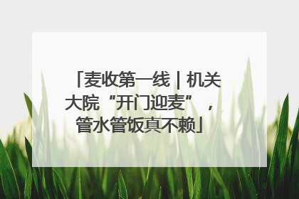 麦收第一线｜机关大院“开门迎麦”，管水管饭真不赖