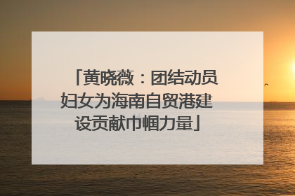 黄晓薇：团结动员妇女为海南自贸港建设贡献巾帼力量