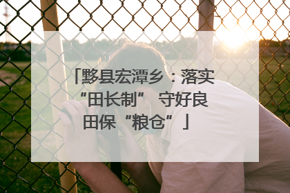 黟县宏潭乡：落实“田长制” 守好良田保“粮仓”
