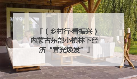 （乡村行·看振兴）内蒙古东部小镇林下经济“茸光焕发”