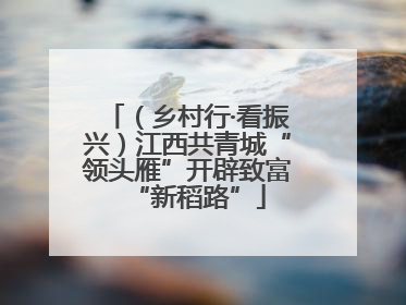 （乡村行·看振兴）江西共青城“领头雁”开辟致富“新稻路”