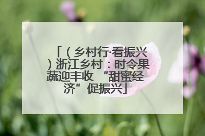 （乡村行·看振兴）浙江乡村：时令果蔬迎丰收 “甜蜜经济”促振兴
