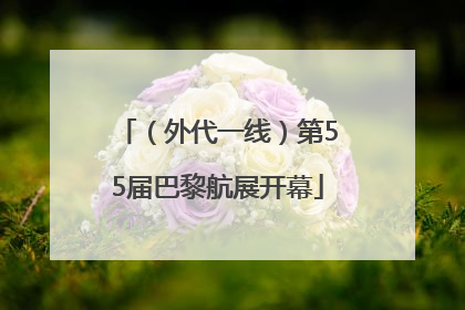 （外代一线）第55届巴黎航展开幕