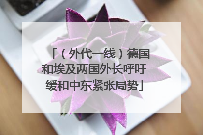（外代一线）德国和埃及两国外长呼吁缓和中东紧张局势