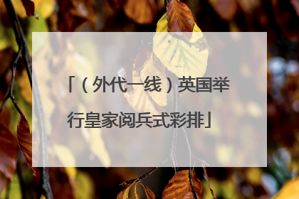（外代一线）英国举行皇家阅兵式彩排