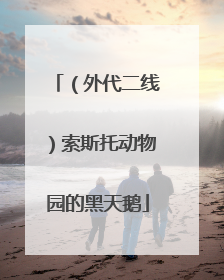 （外代二线）索斯托动物园的黑天鹅