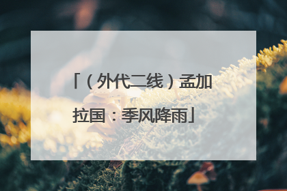 （外代二线）孟加拉国：季风降雨