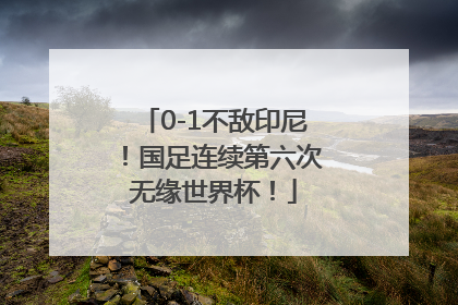 0-1不敌印尼！国足连续第六次无缘世界杯！