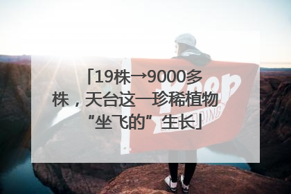 19株→9000多株，天台这一珍稀植物“坐飞的”生长