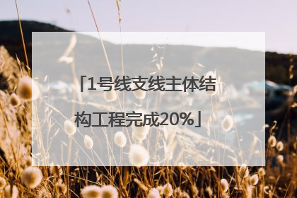 1号线支线主体结构工程完成20%