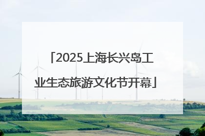 2025上海长兴岛工业生态旅游文化节开幕