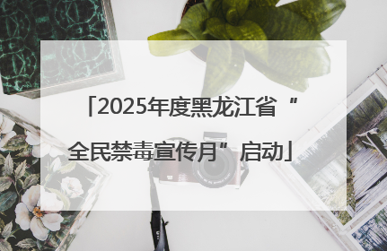 2025年度黑龙江省“全民禁毒宣传月”启动