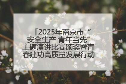 2025年南京市“安全生产 青年当先”主题演讲比赛颁奖暨青春建功高质量发展行动出征仪式举行