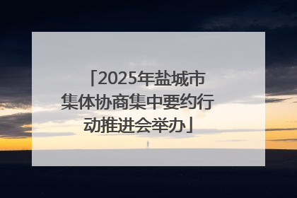 2025年盐城市集体协商集中要约行动推进会举办