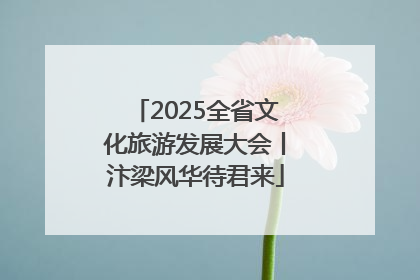 2025全省文化旅游发展大会丨汴梁风华待君来