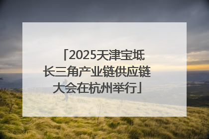 2025天津宝坻长三角产业链供应链大会在杭州举行