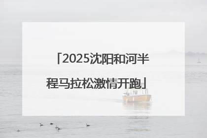 2025沈阳和河半程马拉松激情开跑
