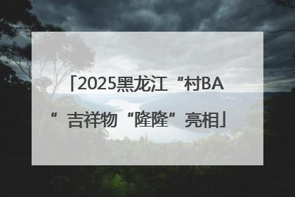 2025黑龙江“村BA”吉祥物“隆隆”亮相