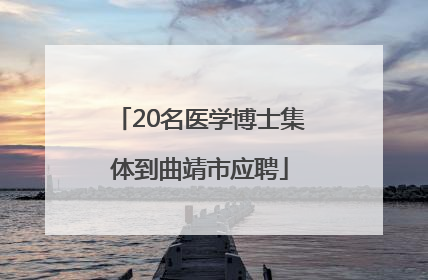 20名医学博士集体到曲靖市应聘