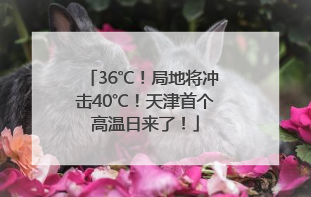 36℃！局地将冲击40℃！天津首个高温日来了！