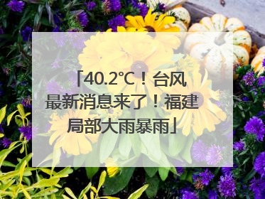 40.2℃！台风最新消息来了！福建局部大雨暴雨
