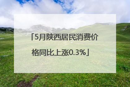 5月陕西居民消费价格同比上涨0.3%