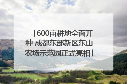 600亩耕地全面开种 成都东部新区东山农场示范园正式亮相