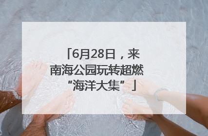 6月28日，来南海公园玩转超燃 “海洋大集”