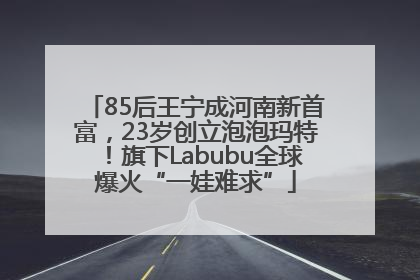 85后王宁成河南新首富，23岁创立泡泡玛特！旗下Labubu全球爆火“一娃难求”