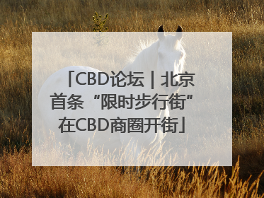 CBD论坛｜北京首条“限时步行街”在CBD商圈开街