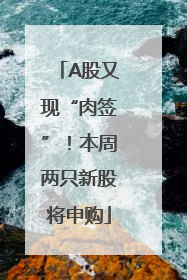 A股又现“肉签”！本周两只新股将申购
