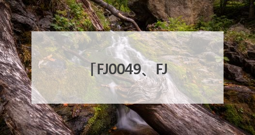 FJ0049、FJ0050，被点名！